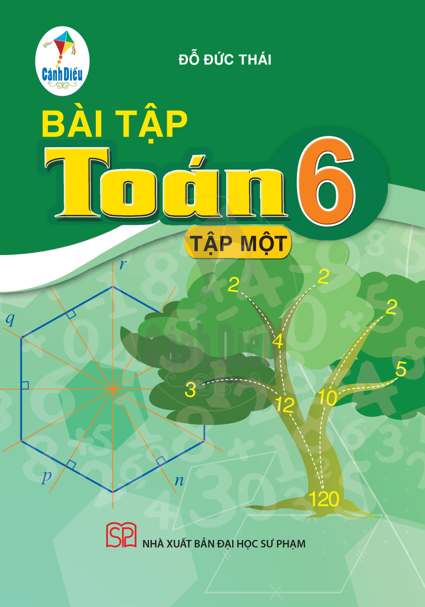 Bài tập Toán lớp 6 Cánh Diều: Giải đáp và hướng dẫn