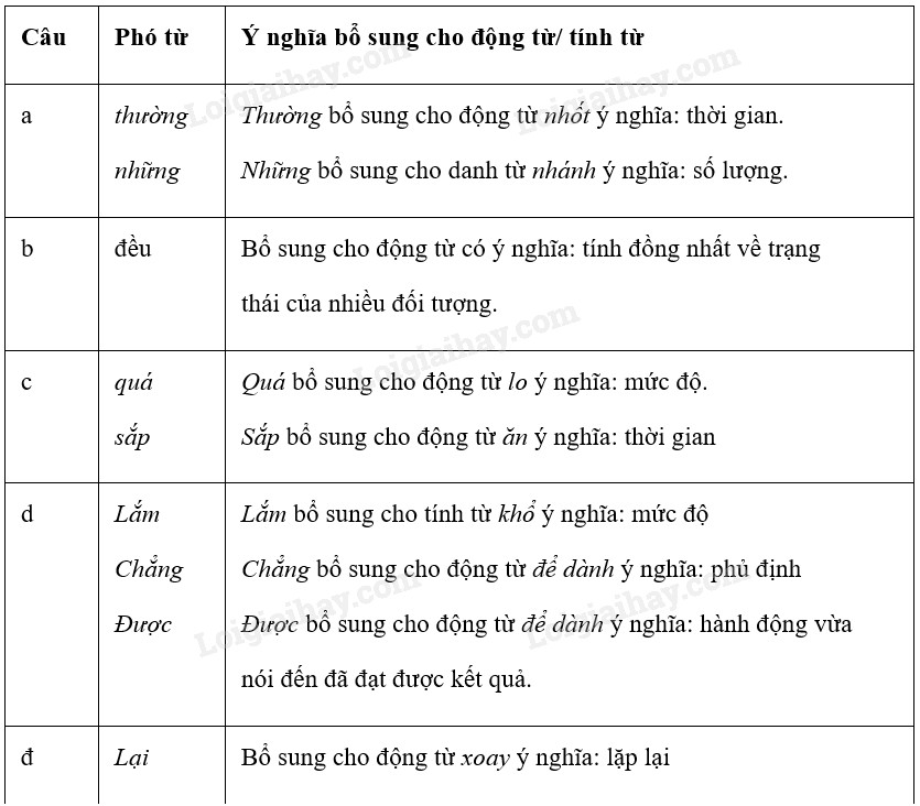 Phó từ lớp 7 Chân trời sáng tạo: Khái niệm, phân loại và bài tập Gallery 2