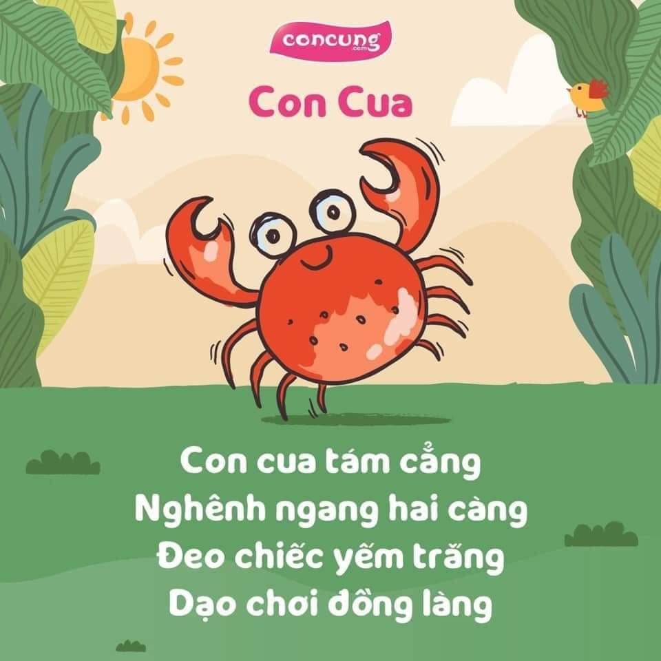 Bài Thơ Về Con Cua Gallery 1