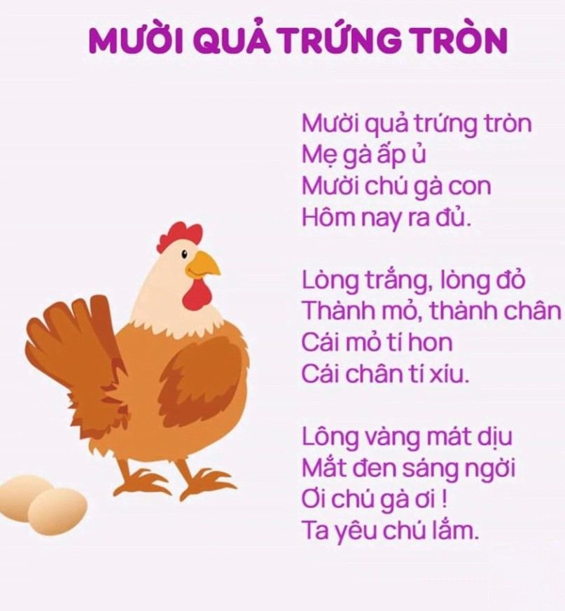 10 Quả Trứng Tròn
