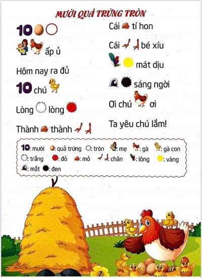 10 Quả Trứng Tròn Gallery 2