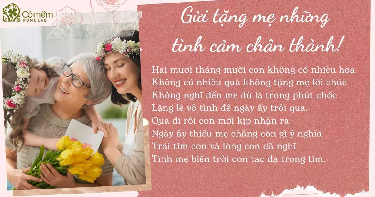 Bài Thơ 20/10 Tặng Mẹ Hay và Ý Nghĩa Gallery 2