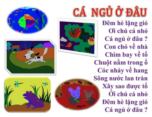 Cá ngủ ở đâu? Gallery 2