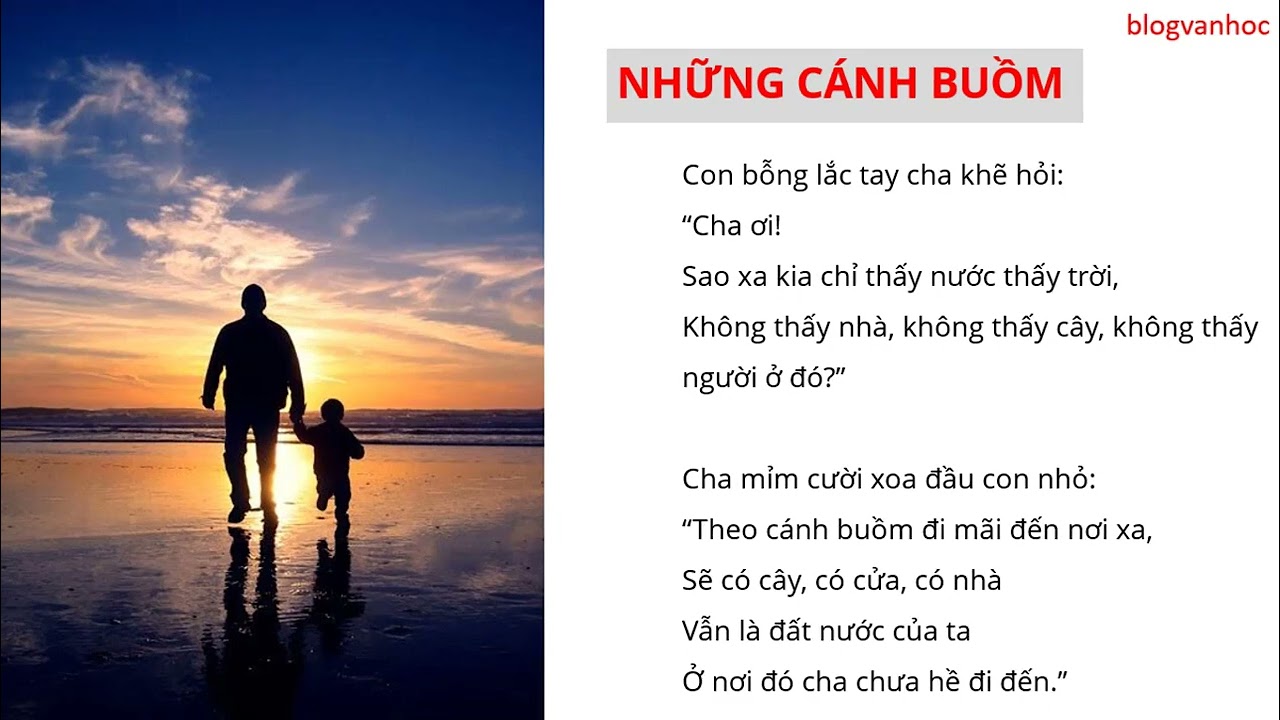 Bài Thơ Cánh Buồm - Phân tích chi tiết và ý nghĩa