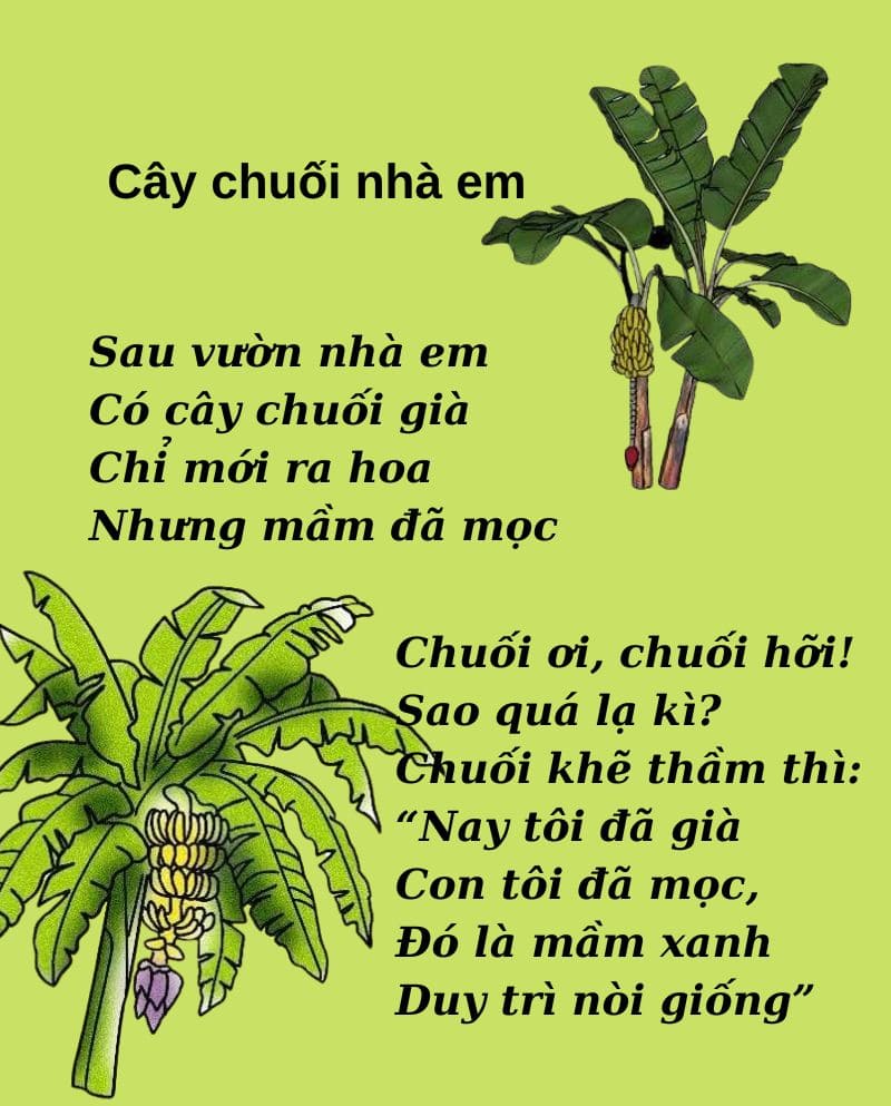 Bài Thơ Cây Chuối Nhà Em