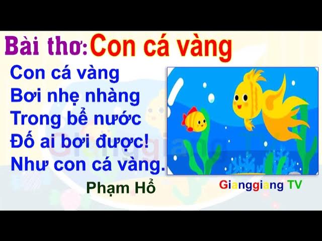 Con cá vàng bơi là con cá vàng bơi Gallery 2