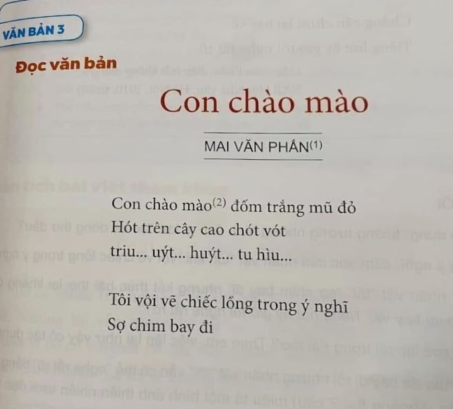 Bài Thơ Con Chào Mào Lớp 6