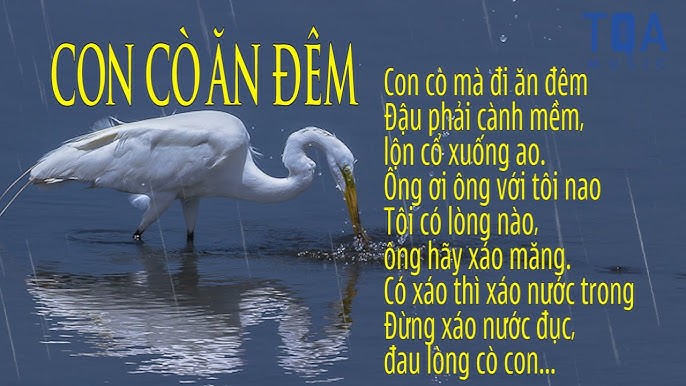 Bài Thơ Con Cò Mà Đi Ăn Đêm