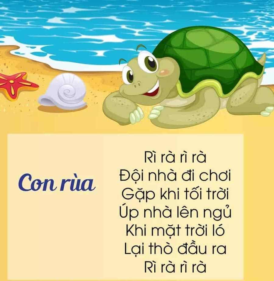Bài Thơ Con Rùa Hay Và Ý Nghĩa