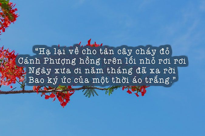 Bài Thơ Hay Về Mùa Hè