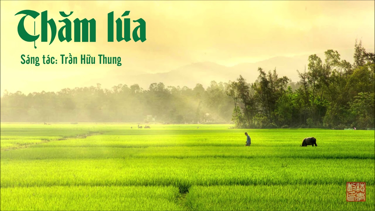 Bài Thơ Thăm Lúa Hay Và Ý Nghĩa
