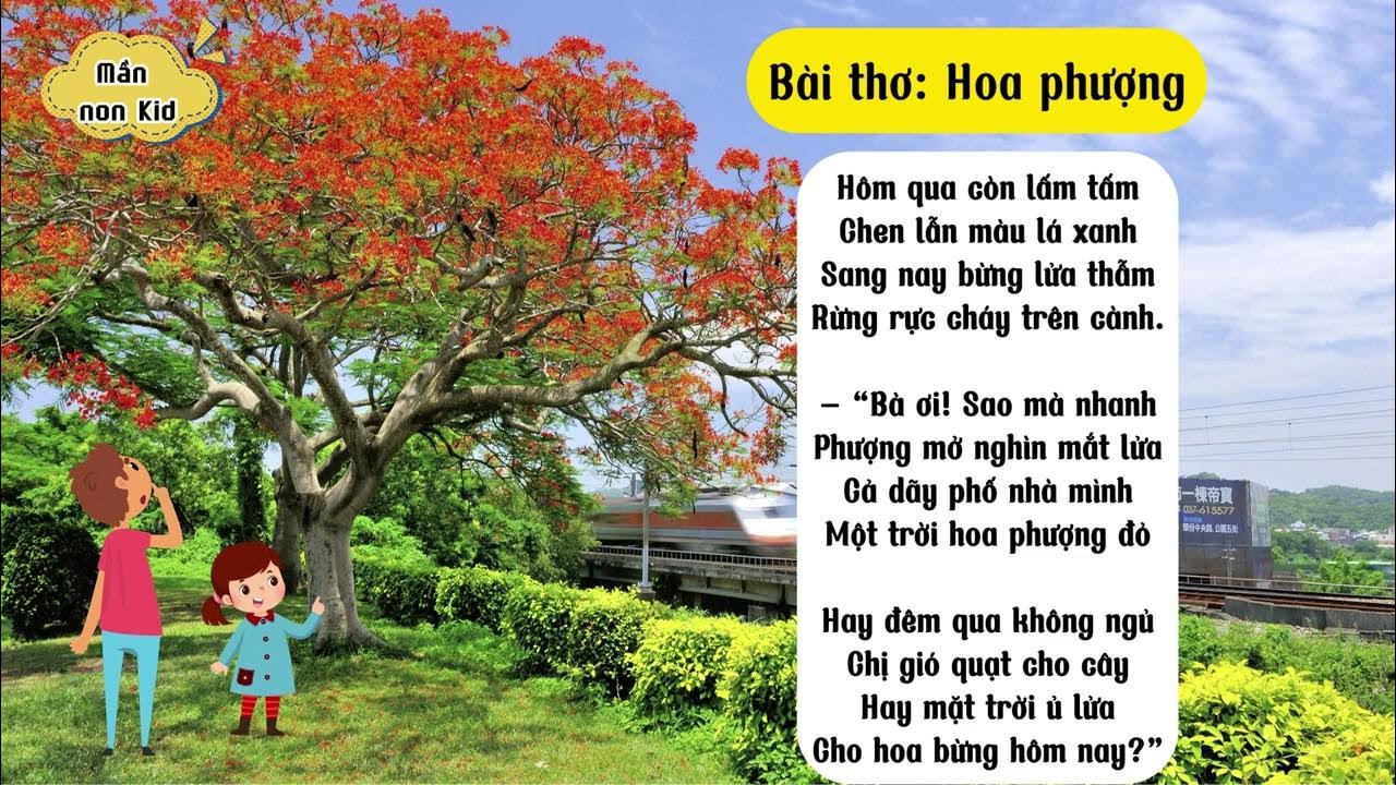Bài Thơ Về Cây Phượng Gallery 1