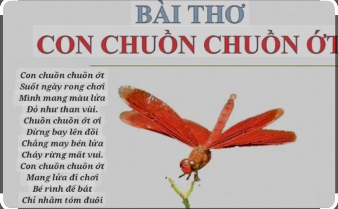 Bài Thơ Về Côn Trùng