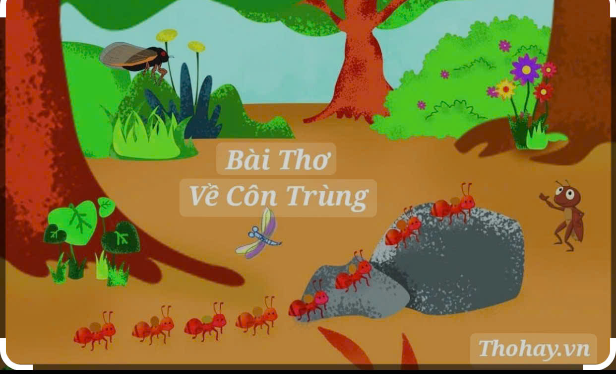 Bài Thơ Về Côn Trùng Gallery 2