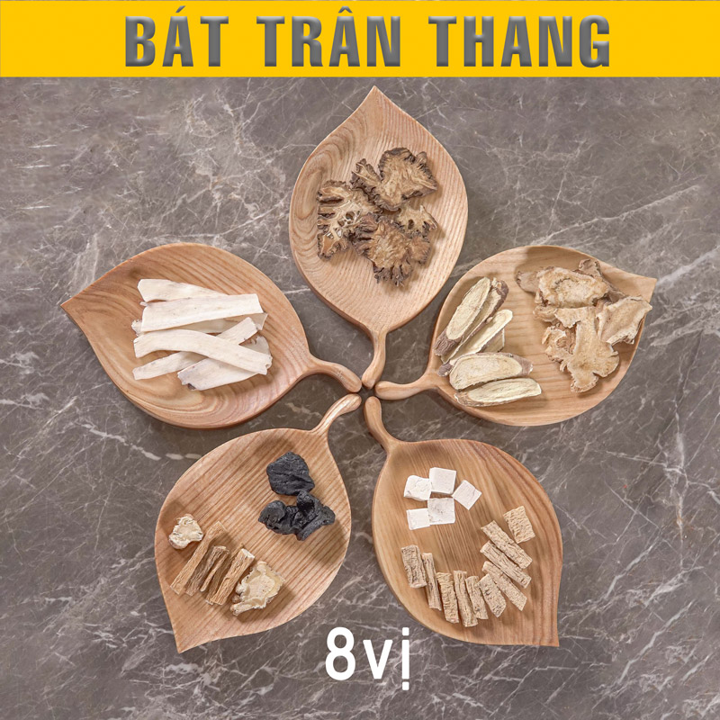 Bài Thuốc Bát Trân Thang