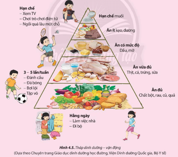 Bữa Ăn Dinh Dưỡng Hợp Lý: Bí Quyết Sức Khỏe Vững Mạnh