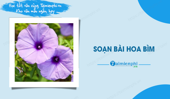 Soạn Văn Bài Hoa Bìm Bìm Gallery 2