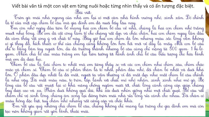 Tả con chim bồ câu