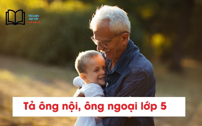 Bài Văn Tả Ông Lớp 5 Ngắn Gọn