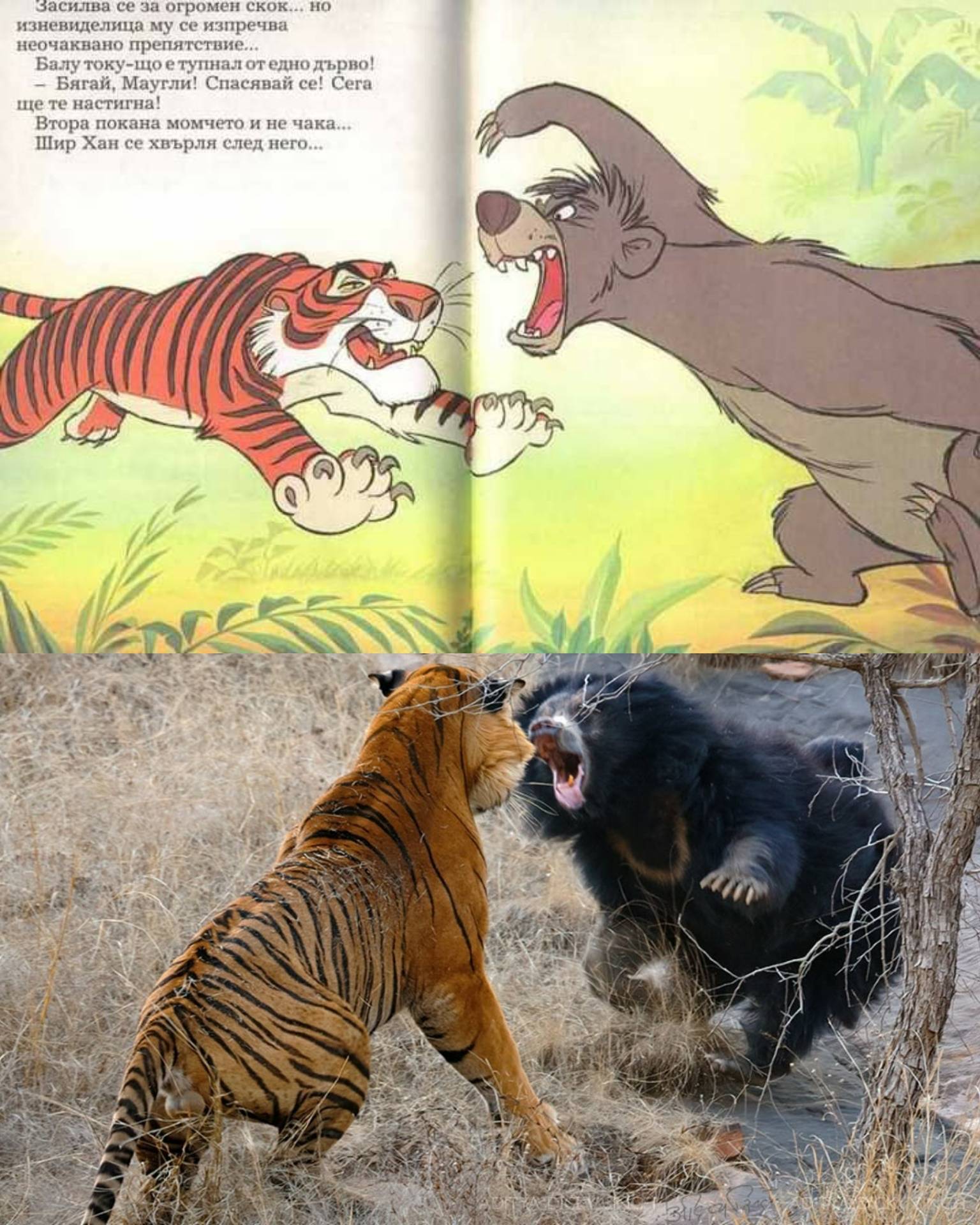 Baloo và Shere Khan: Câu chuyện tình bạn và thù hận trong "Sách rừng"