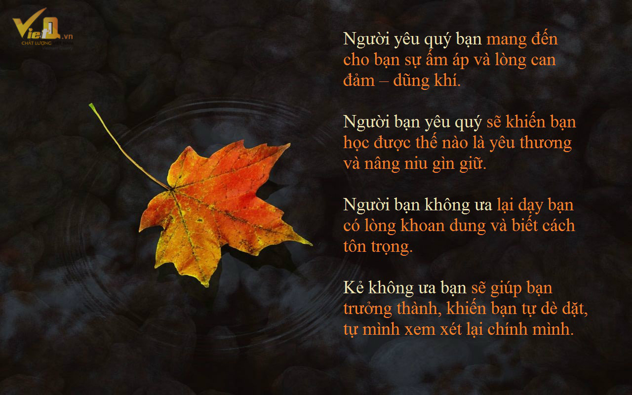 Mỗi người xuất hiện trong cuộc đời bạn đều là một bài học Gallery 2