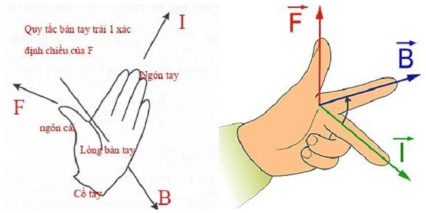 Lực Điện Từ Là Gì? Gallery 1
