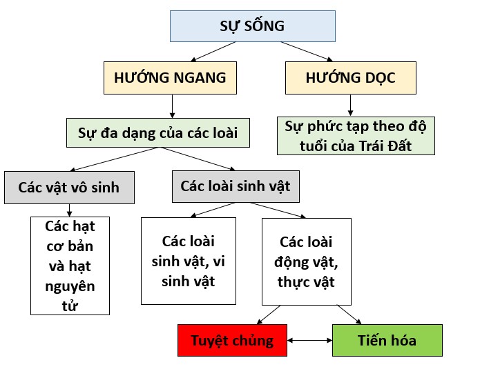 Sự sống và cái chết: Vòng tuần hoàn bất tận của vũ trụ Gallery 1