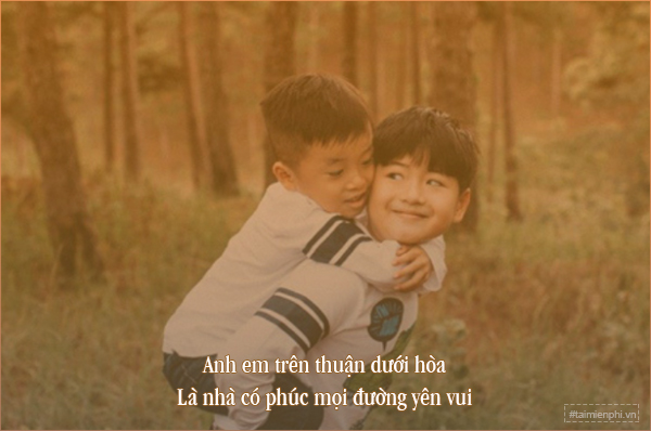 Tình cảm anh em ruột thịt: Mối quan hệ thiêng liêng và bền chặt Gallery 1