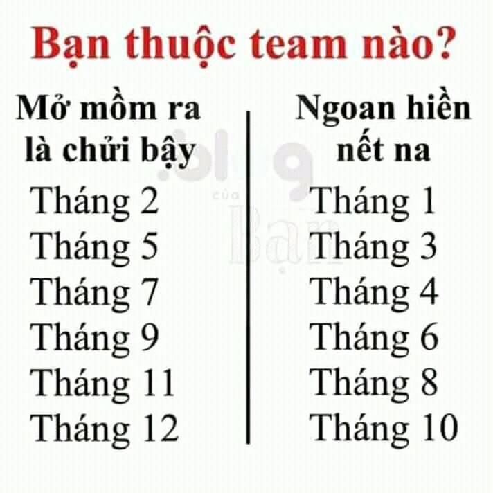 Bạn Học Giỏi Môn Gì Nhất? Gallery 1