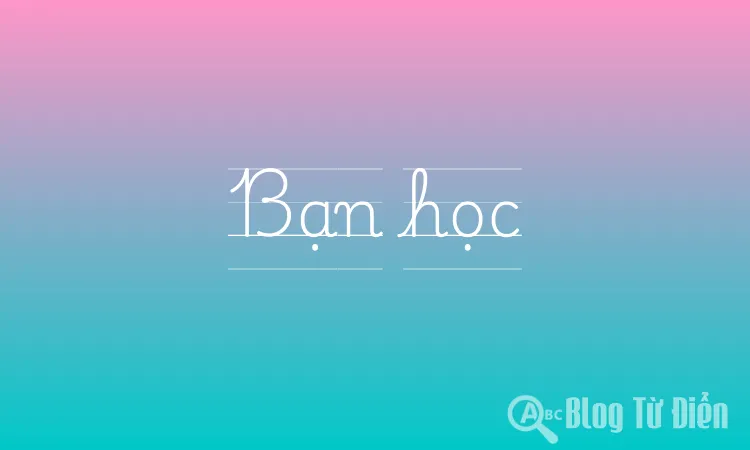 Bạn Học Là Gì?