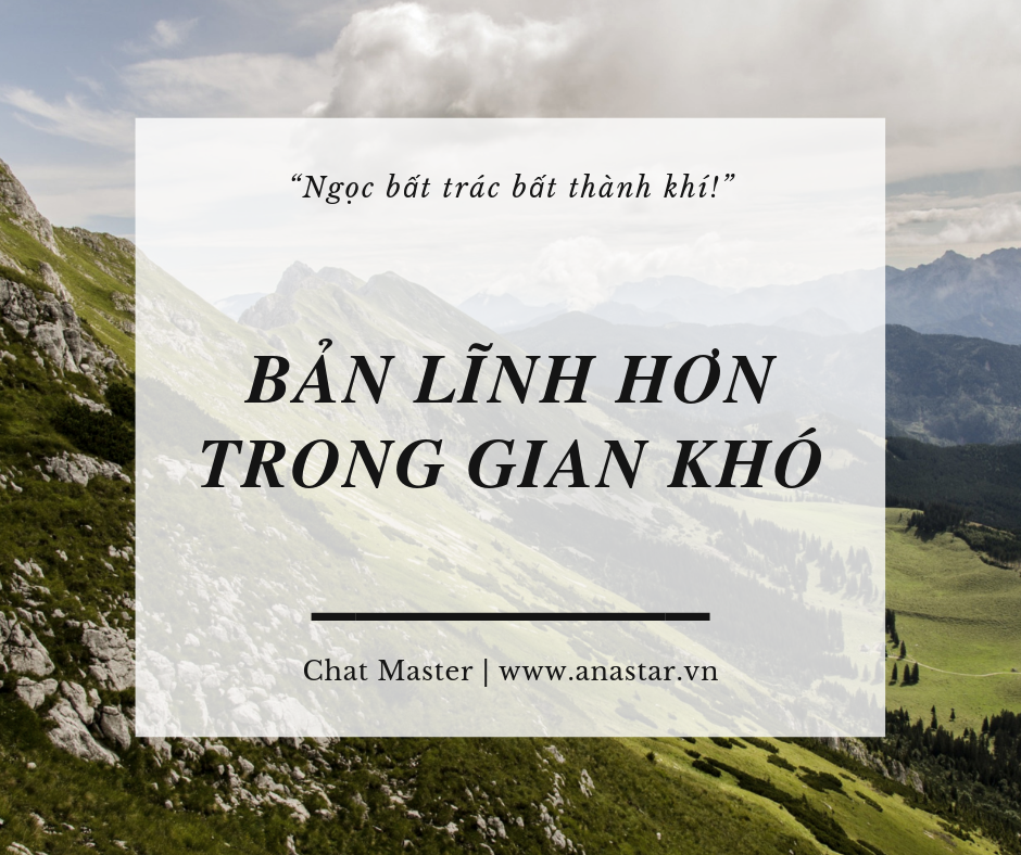 Vai trò của Bản lĩnh Gallery 1