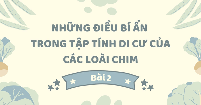 Những Điều Bí Ẩn Trong Tập Tính Di Cư Của Các Loài Chim Gallery 2