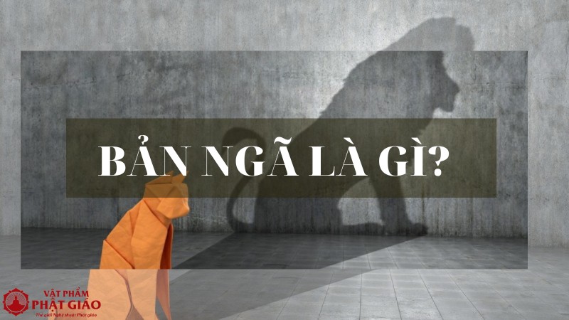 Bản Ngã Lớn Là Tốt Hay Xấu?