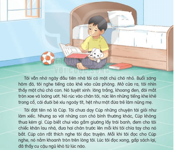 Những điều thú vị về động vật