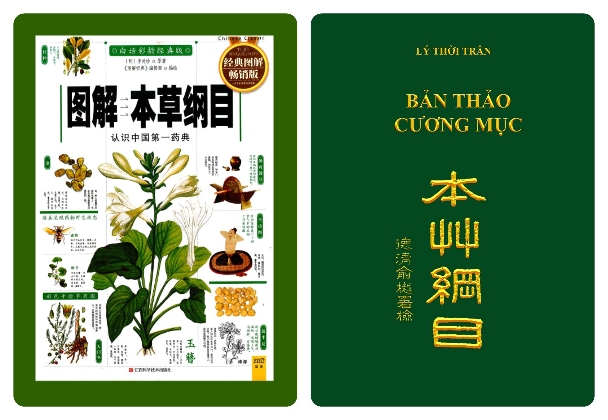 Bản Thảo Cương Mục PDF: Tìm Hiểu, Tải Về và Sử Dụng