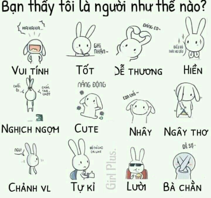 Bạn Thấy Tôi Như Thế Nào? Gallery 2