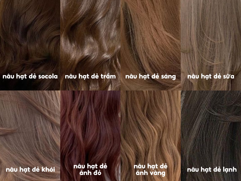 Bảng Màu Nâu Hạt Dẻ