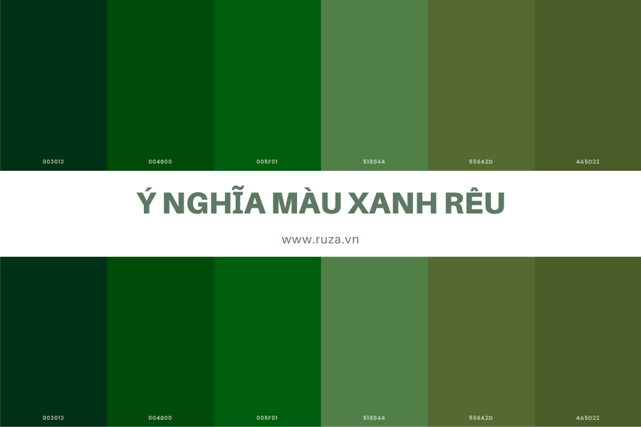 Bảng Màu Xanh Rêu Đậm Gallery 2