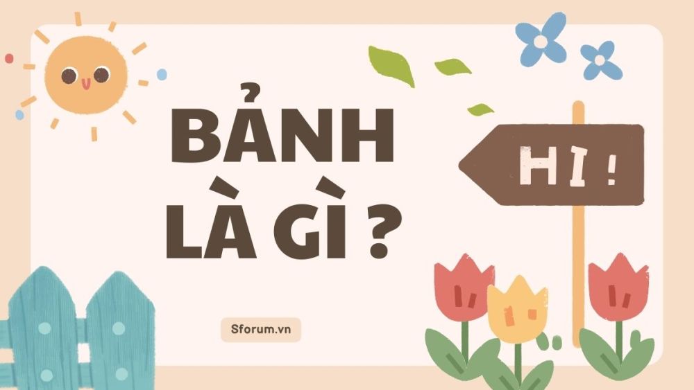 Bảnh Tỏn Có Nghĩa Là Gì? Gallery 2
