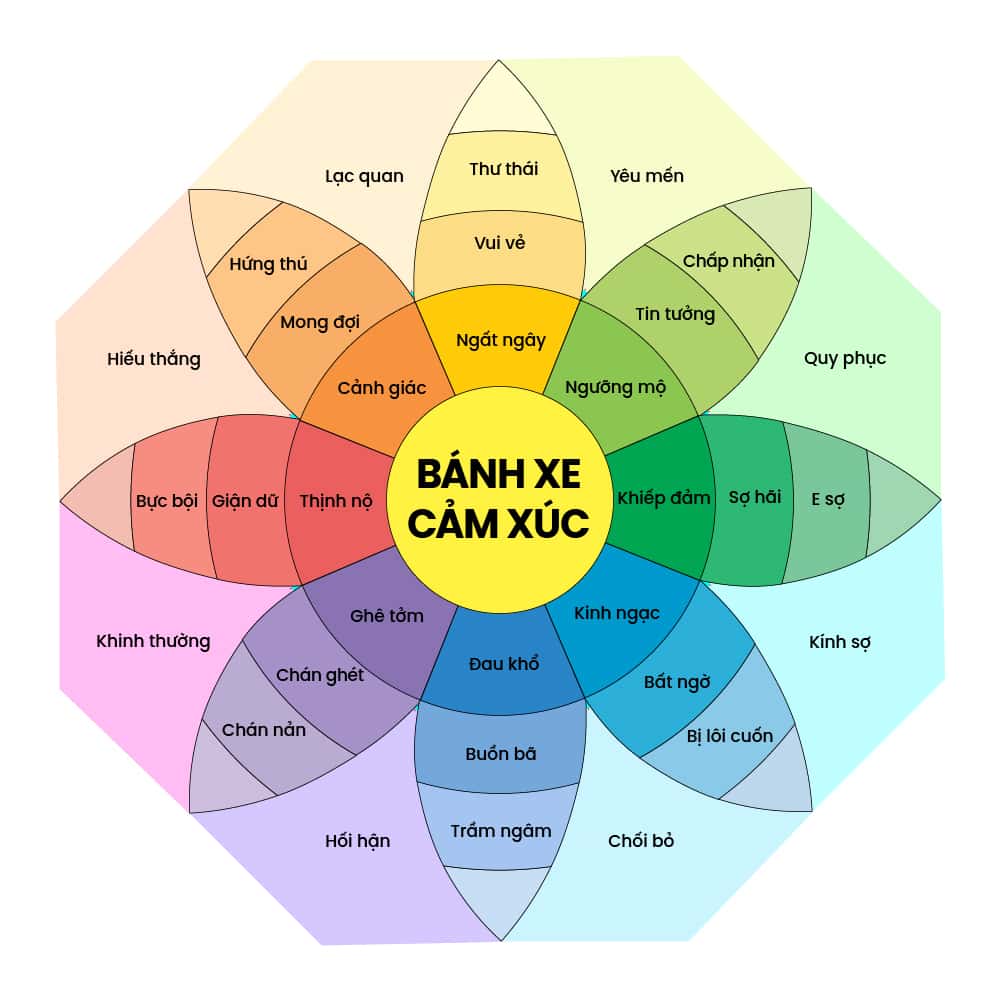 Bánh Xe Cảm Xúc: Công Cụ Tuyệt Vời Để Hiểu và Quản Lý Cảm Xúc