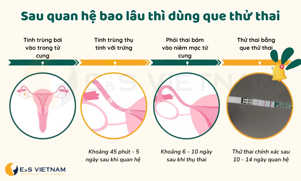 Bao lâu thì dùng que thử thai?
