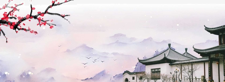 Bạo Quân Khuê Nữ Năm Tuổi Nửa Gallery 2