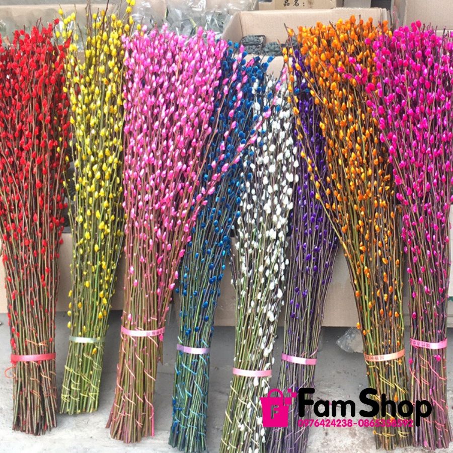 Nụ Tầm Xuân Để Được Bao Lâu? Gallery 1