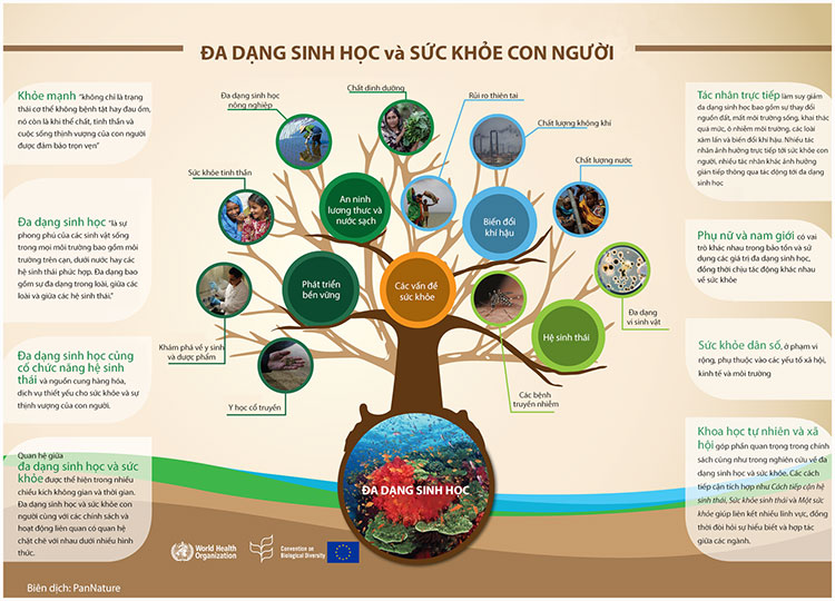 Các Biện Pháp Bảo Vệ Đa Dạng Sinh Học Hiệu Quả Gallery 1