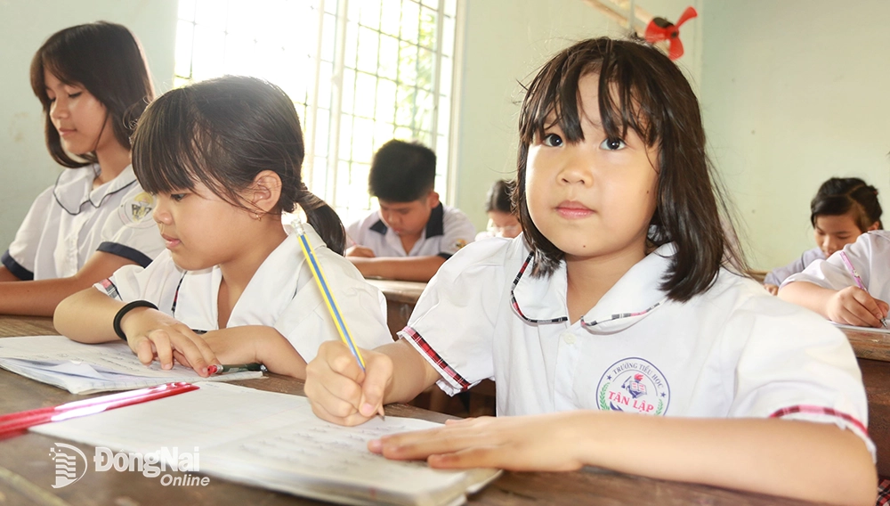 Học sinh cần làm gì để góp phần giữ gìn tiếng nói của dân tộc? Gallery 2