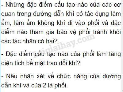 Tác nhân nào dưới đây không gây hại cho đường dẫn khí? Gallery 2