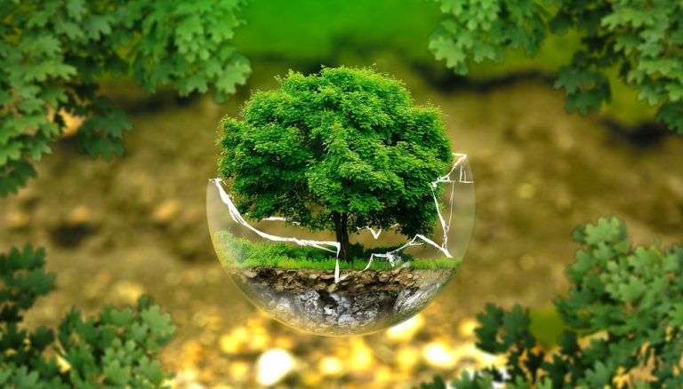 Bảo vệ môi trường là trách nhiệm của chúng ta