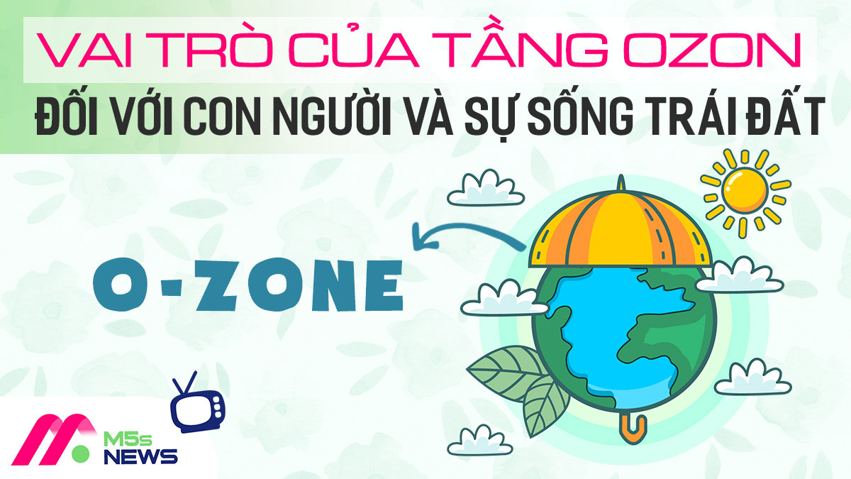 Vai trò của tầng ozon đối với con người Gallery 2