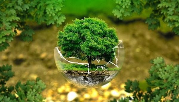 Thiên Nhiên Đẹp - Khám Phá Vẻ Đẹp Hùng Vĩ Của Trái Đất Gallery 2