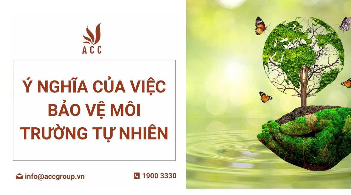 Nghĩa của từ Thiên Nhiên Gallery 2